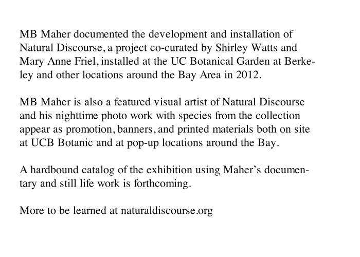http://www-a.mbmaher.com/files/gimgs/th-4_natural.jpg